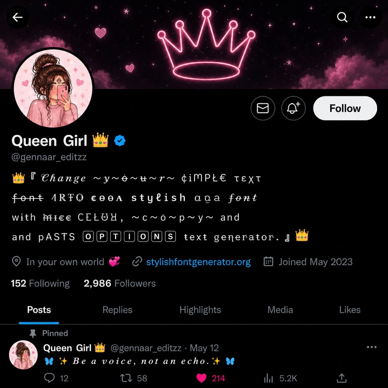 Twitter Uses VIP Bio Examples