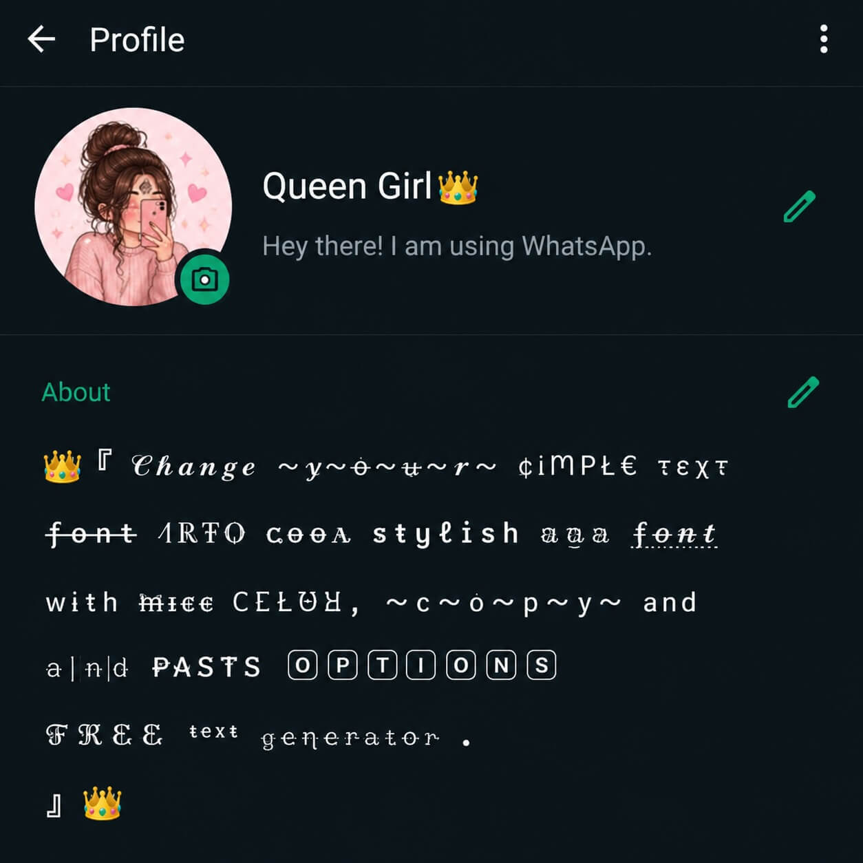 Whatsapp Uses VIP Bio Examples